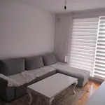 Pashano1